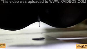 ebony rides big black cock for creampie