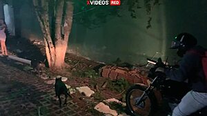 i'm the novinha who received the pizza delivery guy only in a towel, and he gave me a facial cumshot