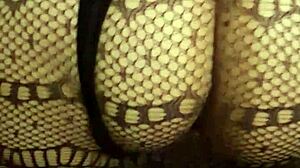 Wife In Lingerie Gives Blowjob In Doggy, Bent Over With Big Ass.