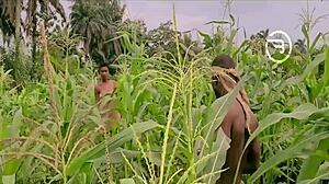 Amaka, pelacur kampung, bagi Okoro blowjob cepat di ladang