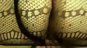 Wife In Lingerie Gives Blowjob In Doggy, Bent Over With Big Ass.