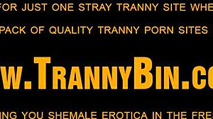 latin shemale with tattoos masturbating solo