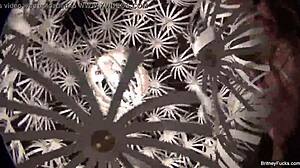 i love britney amber's nude body and big tits