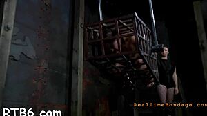 Angels trapped in cage!