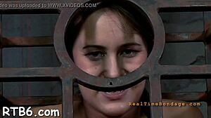 Angels trapped in cage!