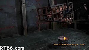 Angels trapped in cage!