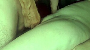 My wife gets her shaved pussy cumshot at home