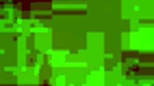 couple engages in outdoor public amateur activities