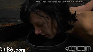 Hardcore sadomasochism with naked slut sucking cock and fucking pussy