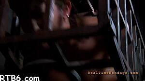 Angels trapped in cage!