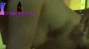 Hey, hot Latina shemale, wanna get wild with oral and anal in a hotel room?