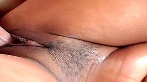 dee the american skank craving white cock bareback?