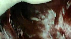 Latina Couple Enjoys Homemade Blowjobs.