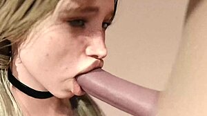 blond girl sucks big white dick suggestively