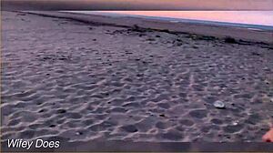 Flashing Tits At The Sunset