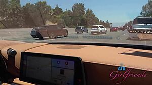 riley star is riding in the car, ready to play 😏