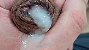 नोविन्हो हिलाते और जली करते समय जंगली महसूस करता है