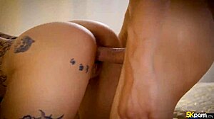 Pornfidelity alternative babe alexa nasha