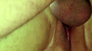 Horny Wife With Huge Ass Gets Interracial Fucking