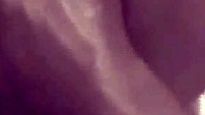 Black Amateur Bbw Gets Creampie And Anal With Big Black Cock Compilation