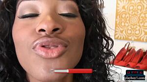 Black and Asian Girlfriends Get Fucked Hard!