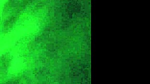 emo hottie from tinder came over for rough riding and blowjob 💥