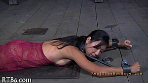 Watch these amateurs explore sadomasochism like never before!