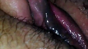 licking exwife's tight pussy till she cums