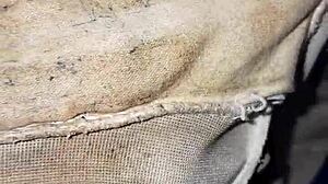 Neighbor's dirty emo panties found