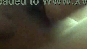 Wow! Danielle Roy's Wild Foreplay with Cody Roy, Sucking and Toying His Ass!