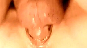 teen amateur moans while sucking cock and getting fucked