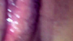 licking exwife's tight pussy till she cums