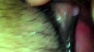 licking exwife's tight pussy till she cums