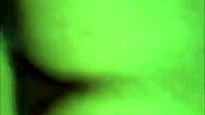 Compilation of T-Girl Prostitutes Servicing Clients in Wild Encounters