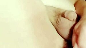 Bbw latina shemale stevi dolly assfucks with big ass and toys