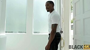 Black4k Stunner Blacks Hubby with Monster Cock