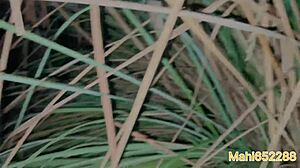 desi girl banged hard in jungle night