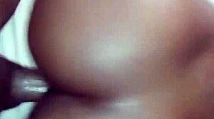 Amateur Ebony Latina Gets Fucked Doggystyle By Big Black Cock