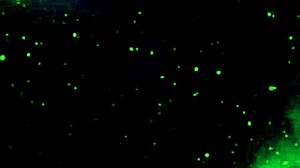 黑色史密斯-13 今天只能射在外面哦