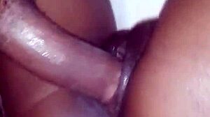 Amateur Ebony Latina Gets Fucked Doggystyle By Big Black Cock