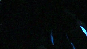 scarlett johnson enjoys blacklight sex session