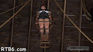 sweet babe freed from cage for rough pounding 😈