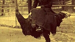 Vintage Outdoor Taboo Encounter With Hairy Pussy