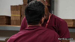 Co-workers engage in interracial gay anal sex in stockroom