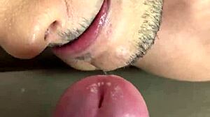 i spotted that big-tailed male on the couch and made him suck my dick