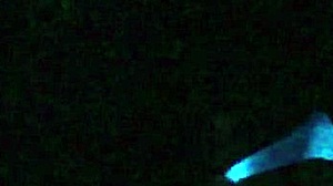 scarlett johnson enjoys blacklight sex session