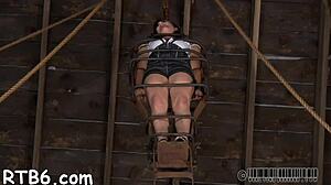 sweet babe freed from cage for rough pounding 😈