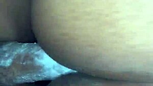 Creamy dessert delight