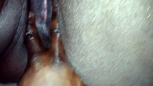 creamy bbw anal gusher