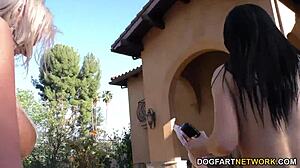 jasmine jae and lexi lowe love bbc anal 😍